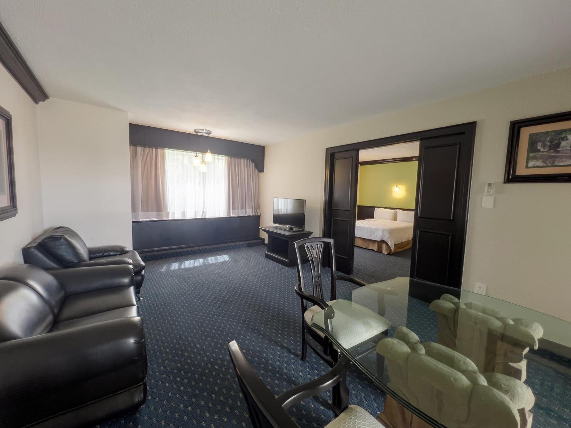 Holiday Inn San Luis Potosi-Quijote By Ihg Extérieur photo