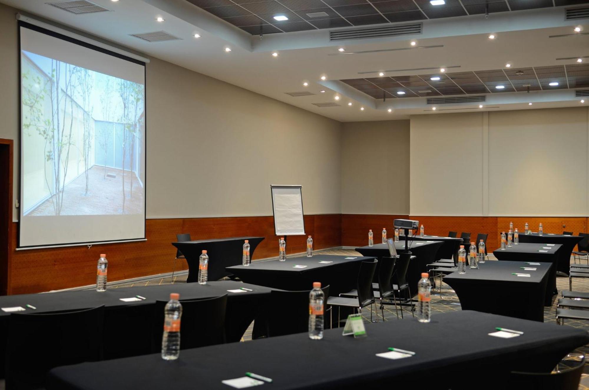 Holiday Inn San Luis Potosi-Quijote By Ihg Extérieur photo